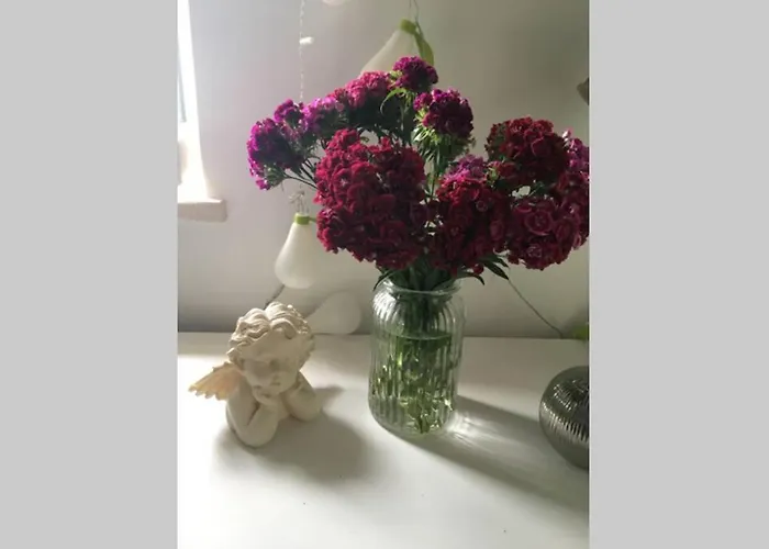 A Bright Hideaway Appartement