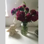 A Bright Hideaway Apartament