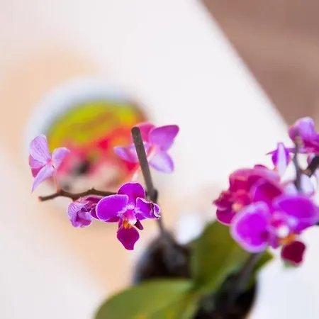 Appartamento A Bright Hideaway *