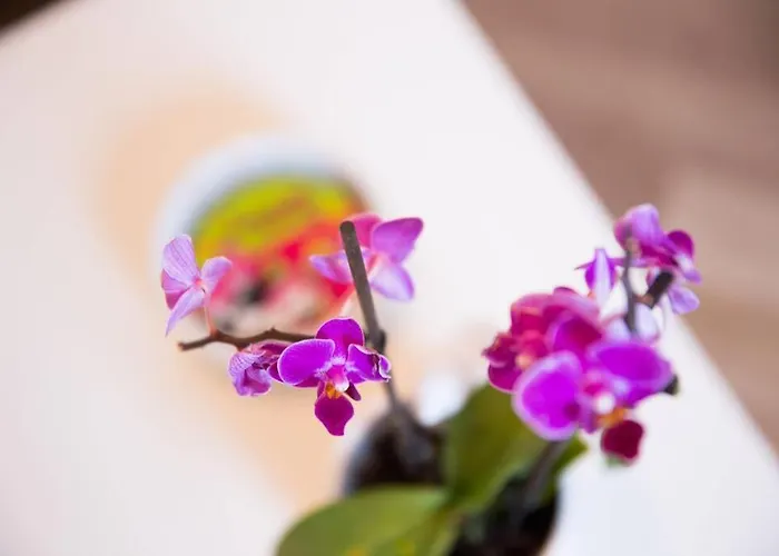 Apartamento A Bright Hideaway *