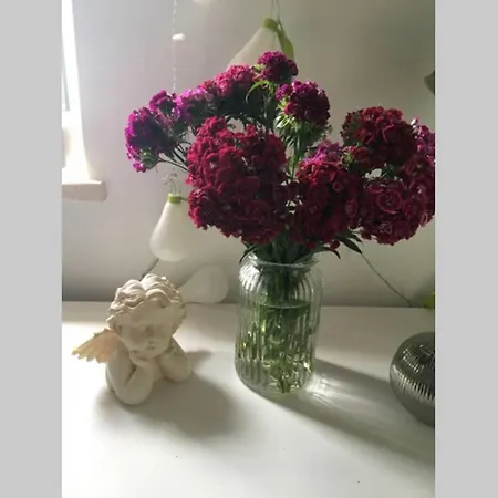 A Bright Hideaway Apartman